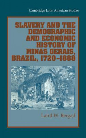 Kniha Slavery and the Demographic and Economic History of Minas Gerais, Brazil, 1720-1888 Laird W. Bergad