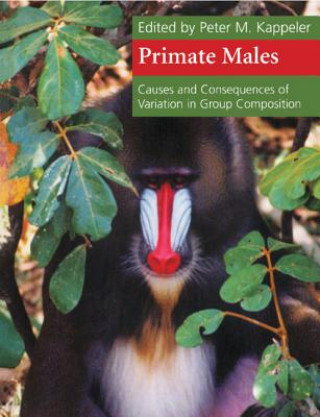 Kniha Primate Males Peter M. Kappeler