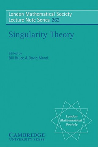 Könyv Singularity Theory W. BruceD. Mond