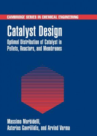 Libro Catalyst Design Massimo MorbidelliAsterios GavriilidisArvind Varma