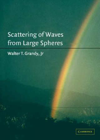Könyv Scattering of Waves from Large Spheres Walter T. Grandy