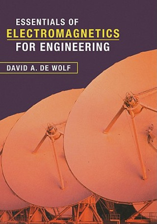 Kniha Essentials of Electromagnetics for Engineering David A. de Wolf