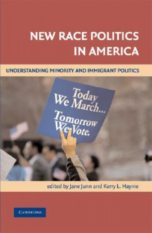 Könyv New Race Politics in America Jane JunnKerry L. Haynie