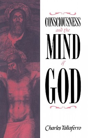 Buch Consciousness and the Mind of God Charles Taliaferro