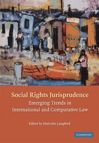 Könyv Social Rights Jurisprudence Malcolm Langford