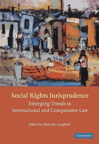 Buch Social Rights Jurisprudence Malcolm Langford