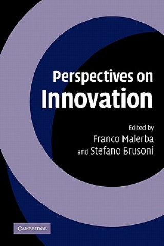 Carte Perspectives on Innovation Franco MalerbaStefano Brusoni