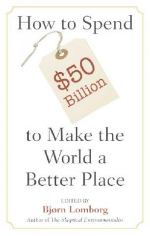 Book How to Spend $50 Billion to Make the World a Better Place Bj
