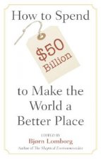 Könyv How to Spend $50 Billion to Make the World a Better Place Bj
