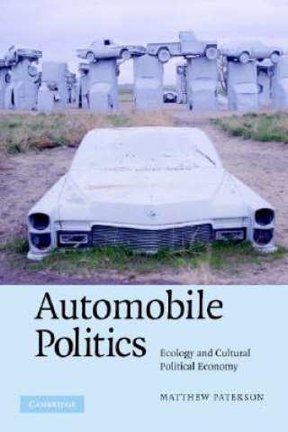 Kniha Automobile Politics Matthew Paterson