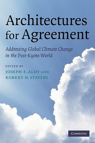 Könyv Architectures for Agreement Joseph E. AldyRobert N. Stavins
