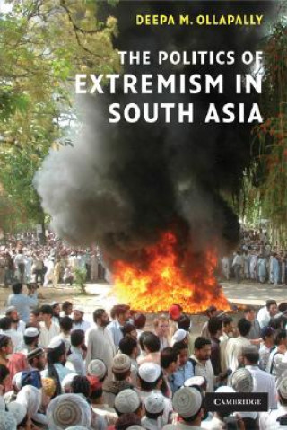 Kniha Politics of Extremism in South Asia Deepa M. Ollapally