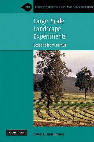 Könyv Large-Scale Landscape Experiments David B. Lindenmayer