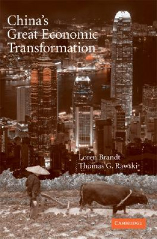 Könyv China's Great Economic Transformation Loren BrandtThomas G. Rawski
