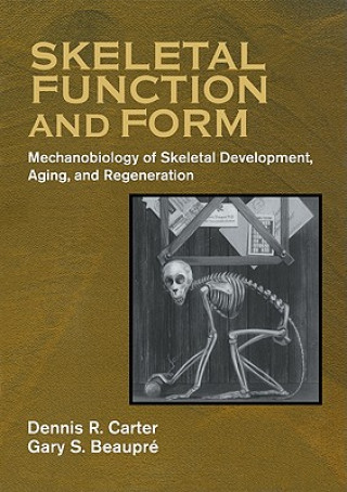 Könyv Skeletal Function and Form Dennis R. CarterGary S. Beaupré