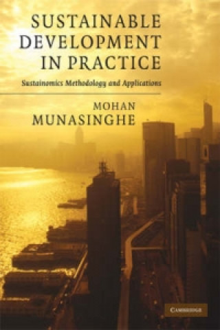 Kniha Sustainable Development in Practice Mohan Munasinghe