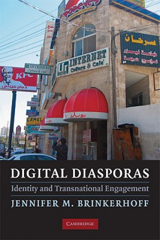 Kniha Digital Diasporas Jennifer M. Brinkerhoff