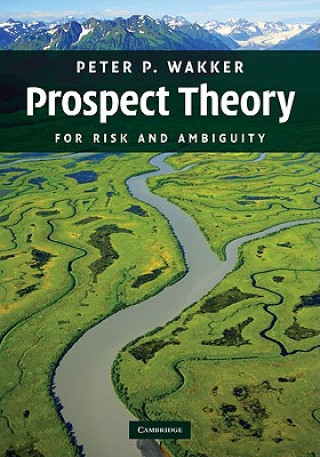 Knjiga Prospect Theory Peter P. Wakker