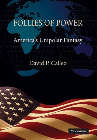 Könyv Follies of Power David P. Calleo