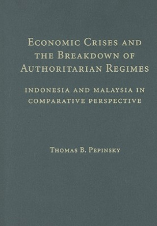 Könyv Economic Crises and the Breakdown of Authoritarian Regimes Thomas B. Pepinsky