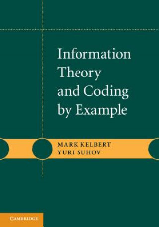 Kniha Information Theory and Coding by Example Mark KelbertYuri Suhov