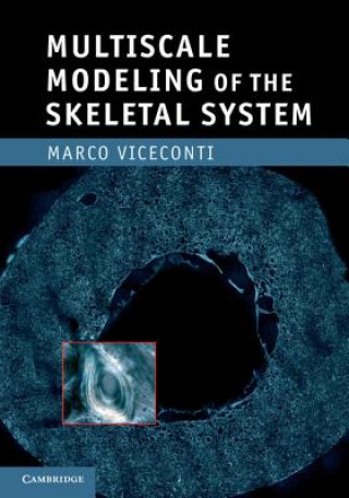 Kniha Multiscale Modeling of the Skeletal System Marco Viceconti