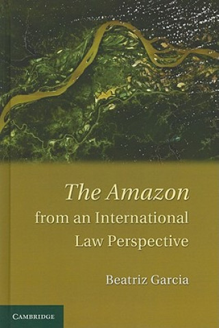 Libro Amazon from an International Law Perspective Beatriz Garcia