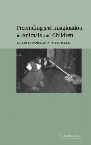 Könyv Pretending and Imagination in Animals and Children Robert W. Mitchell