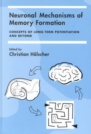 Könyv Neuronal Mechanisms of Memory Formation Christian Hölscher