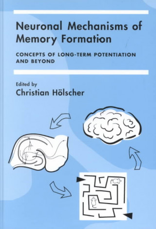 Kniha Neuronal Mechanisms of Memory Formation Christian Hölscher