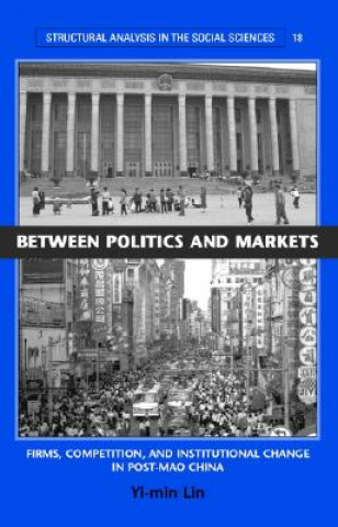 Kniha Between Politics and Markets Yi-min Lin