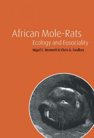 Könyv African Mole-Rats Nigel C. BennettChris G. FaulkesJennifer Jarvis