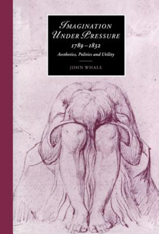 Kniha Imagination under Pressure, 1789-1832 John Whale