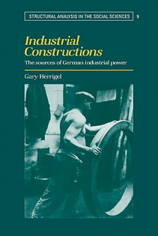Книга Industrial Constructions Gary Herrigel