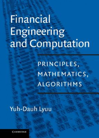 Kniha Financial Engineering and Computation Yuh-Dauh Lyuu