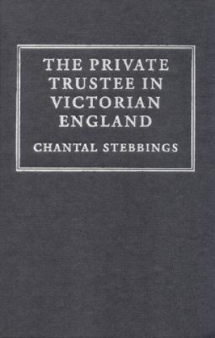 Kniha Cambridge Studies in English Legal History Chantal Stebbings