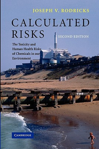Kniha Calculated Risks Joseph V. Rodricks