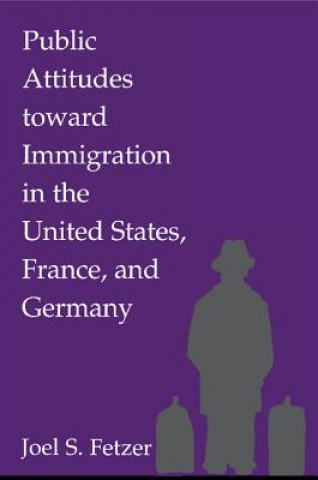 Könyv Public Attitudes toward Immigration in the United States, France, and Germany Fetzer