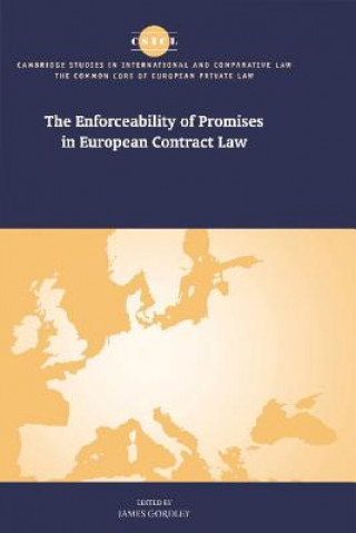 Książka Enforceability of Promises in European Contract Law James Gordley