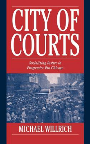 Book City of Courts Michael Willrich