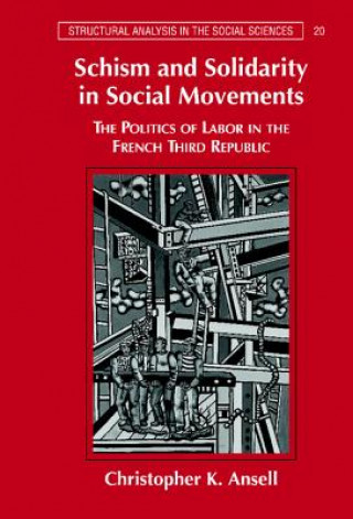 Книга Schism and Solidarity in Social Movements Christopher K. Ansell