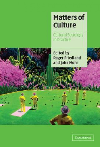 Kniha Matters of Culture Roger FriedlandJohn Mohr