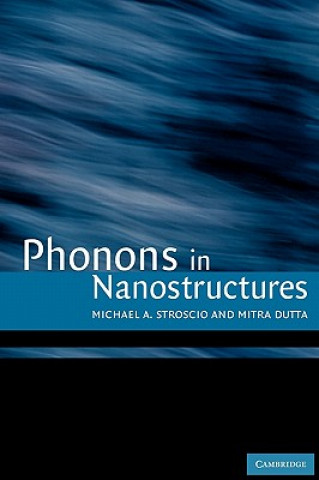 Kniha Phonons in Nanostructures Michael A. Stroscio