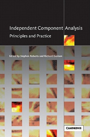 Kniha Independent Component Analysis Richard Everson