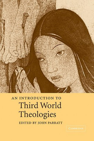 Книга Introduction to Third World Theologies John Parratt