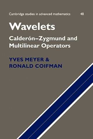 Könyv Wavelets Yves Meyer