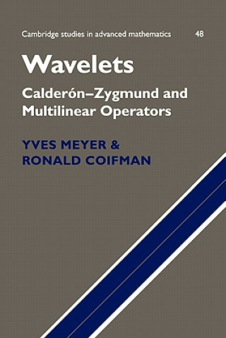 Knjiga Wavelets Yves Meyer