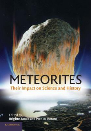 Kniha Meteorites Brigitte ZandaMonica RotaruRoger Hewins