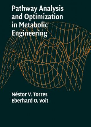 Buch Pathway Analysis and Optimization in Metabolic Engineering Nestor V. Torres