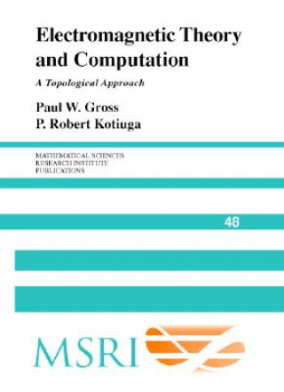 Livre Electromagnetic Theory and Computation Gross